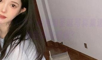 最新でやん次！倦倦喵圣诞写真集透露了哪些慵懒瞬间？
